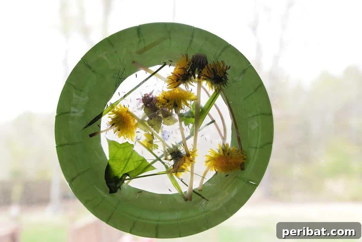 Crafting Nature's Radiance Suncatcher Projects 21 DIY Nature Suncatcher