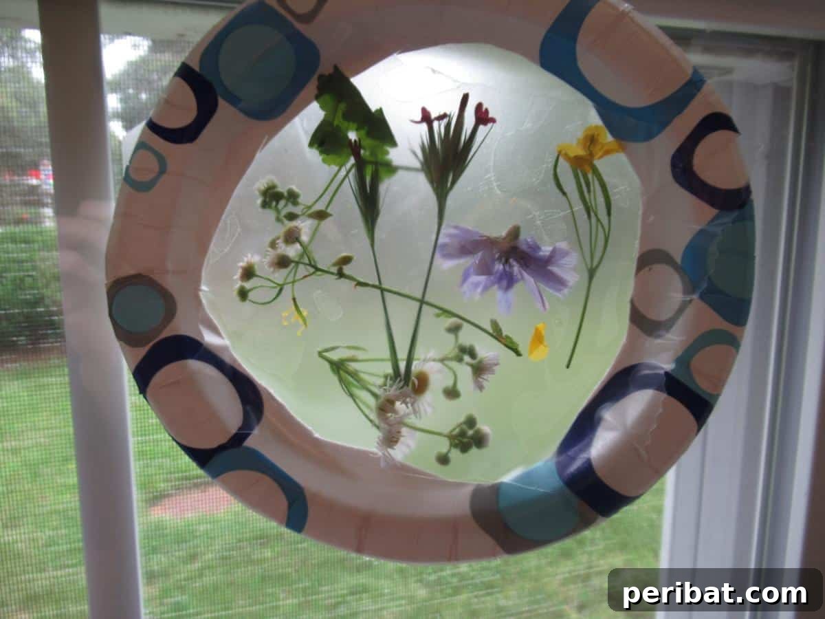 Crafting Nature's Radiance Suncatcher Projects 27 Pretty Nature Collage Suncatcher