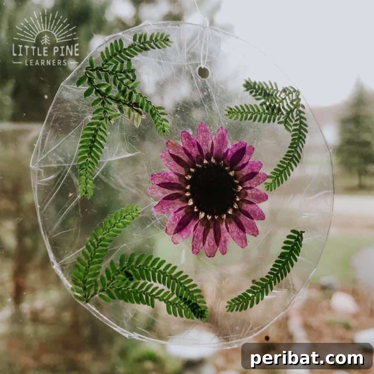 Crafting Nature's Radiance Suncatcher Projects 6 Nature Suncatcher Made With Recycled Items