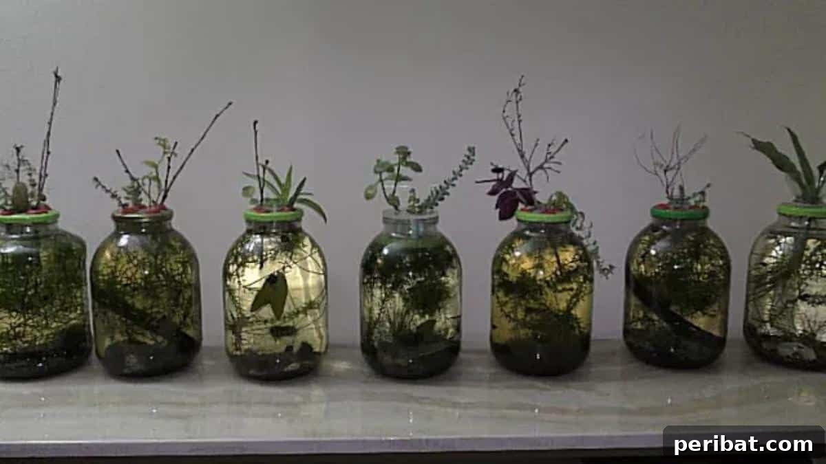 27 Charming Mason Jar Aquarium Projects 12 DIY Aquarium Jars