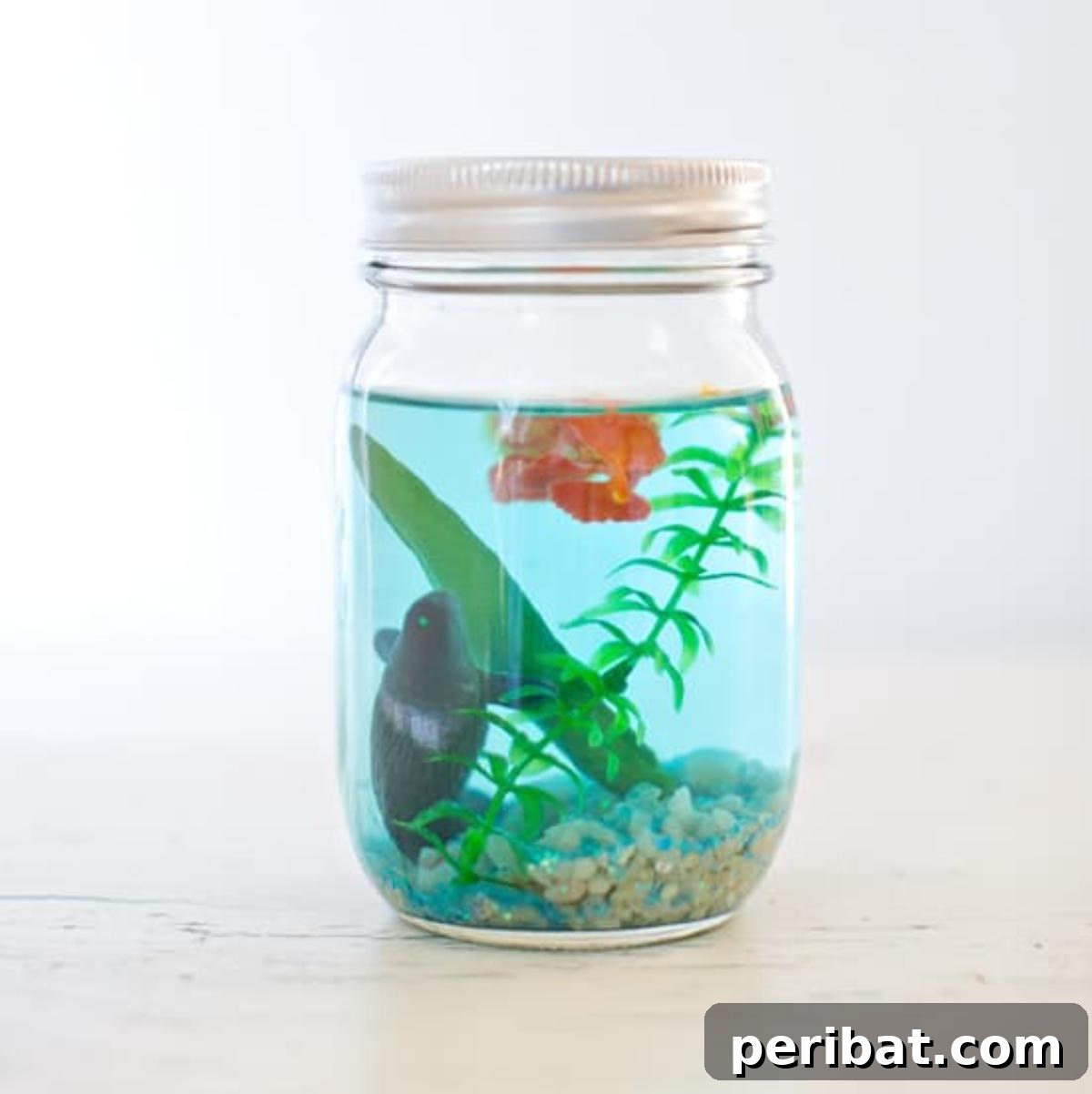 27 Charming Mason Jar Aquarium Projects 4 DIY Mason Jar Aquarium