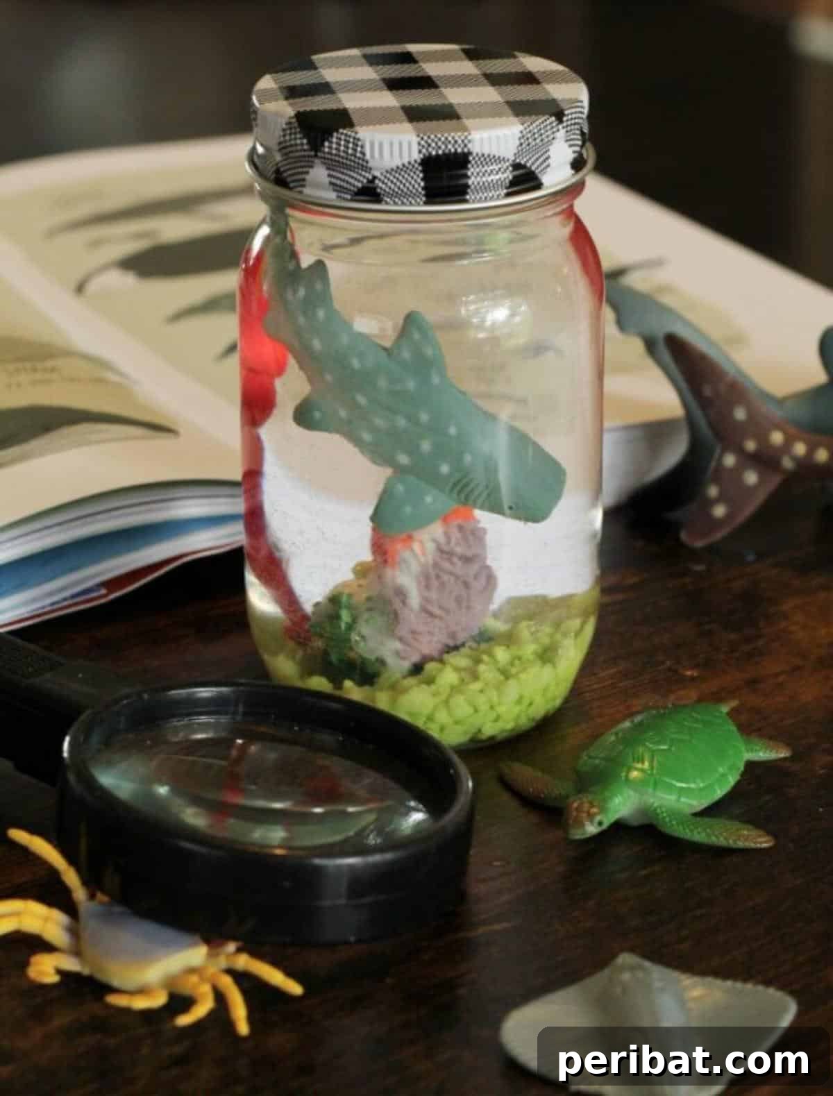 27 Charming Mason Jar Aquarium Projects 8 Super Easy and Fun Aquarium Jar Craft for Summer Activities for Middle Schoolers