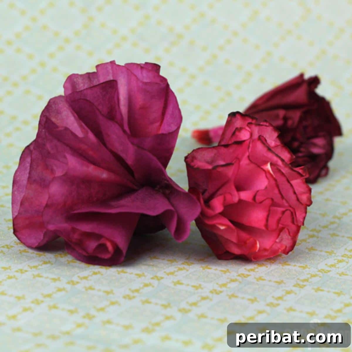 Stunning Easy Elegant Coffee Filter Flowers