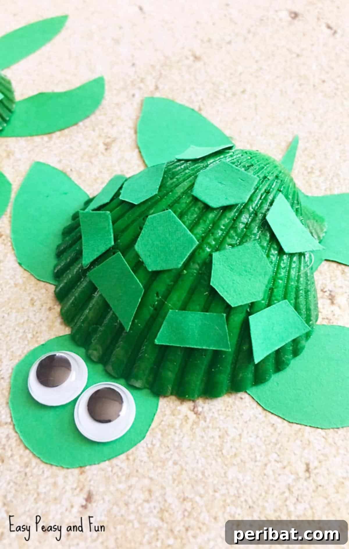 Seashell Turtle Craft