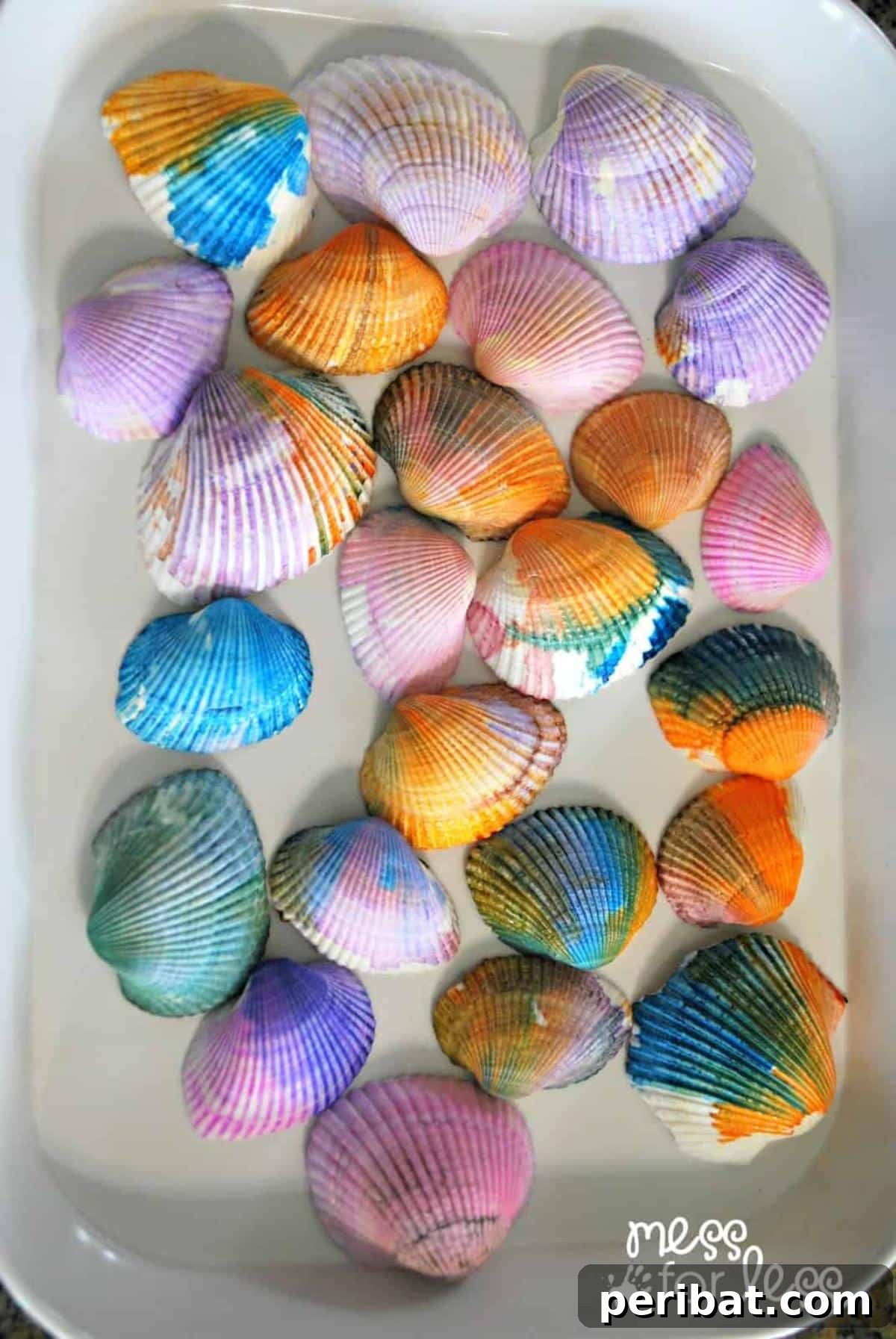 Watercolor Painted Seashells