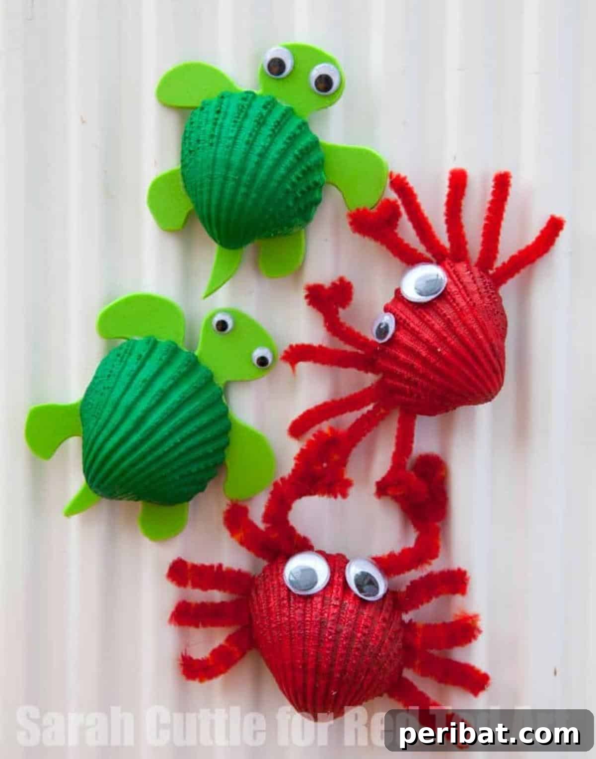 Shell Fridge Magnets