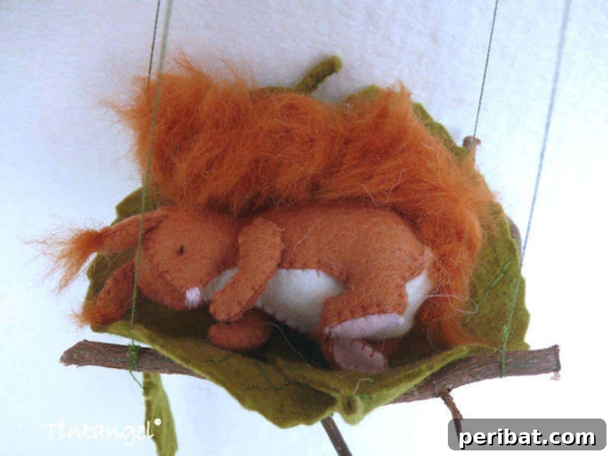Walk in the Woods Sleeping Squirrel