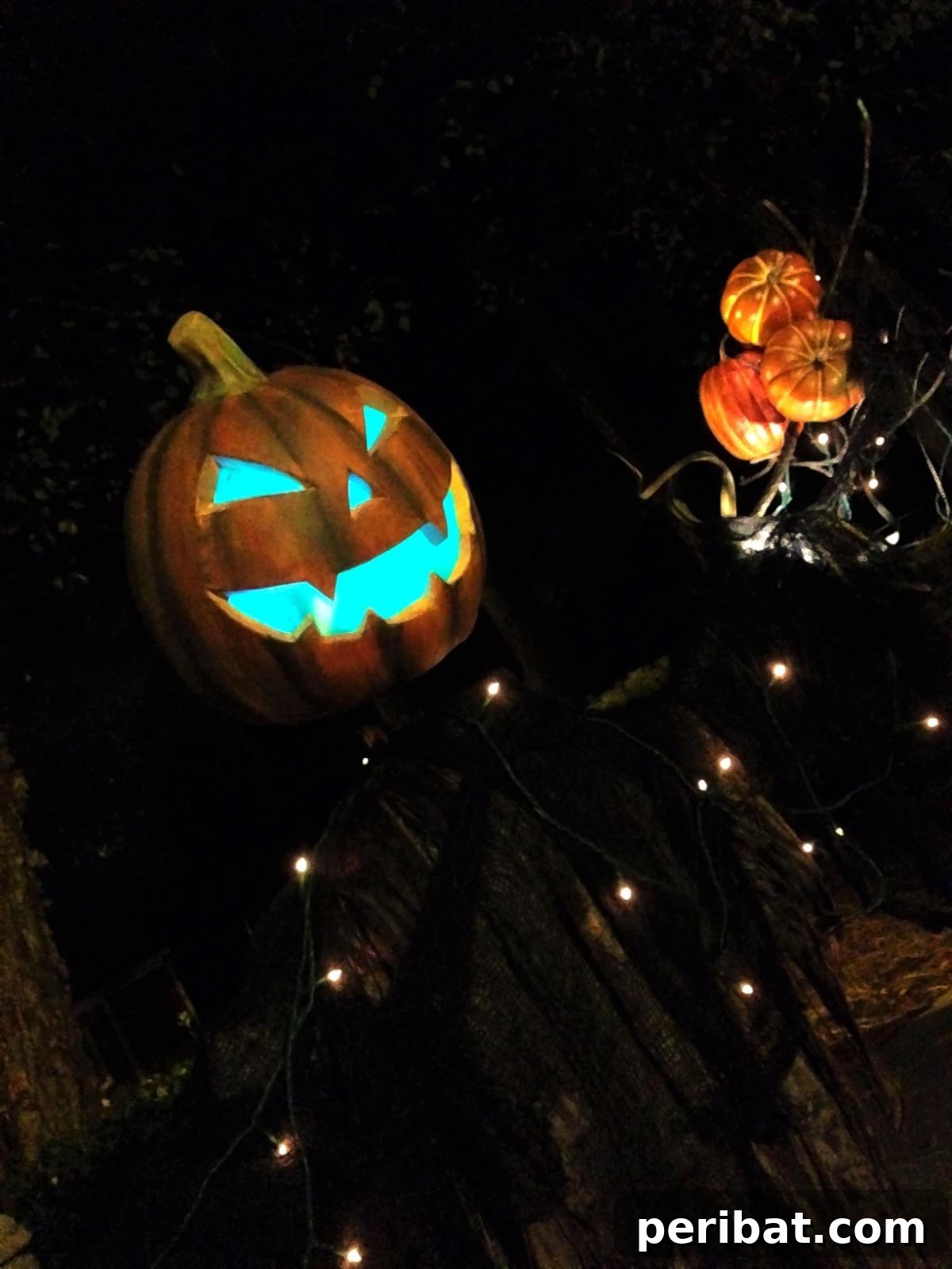Whimsical Scarecrow Pumpkin Creations 18 Barry’s Pumpkin Scarecrow