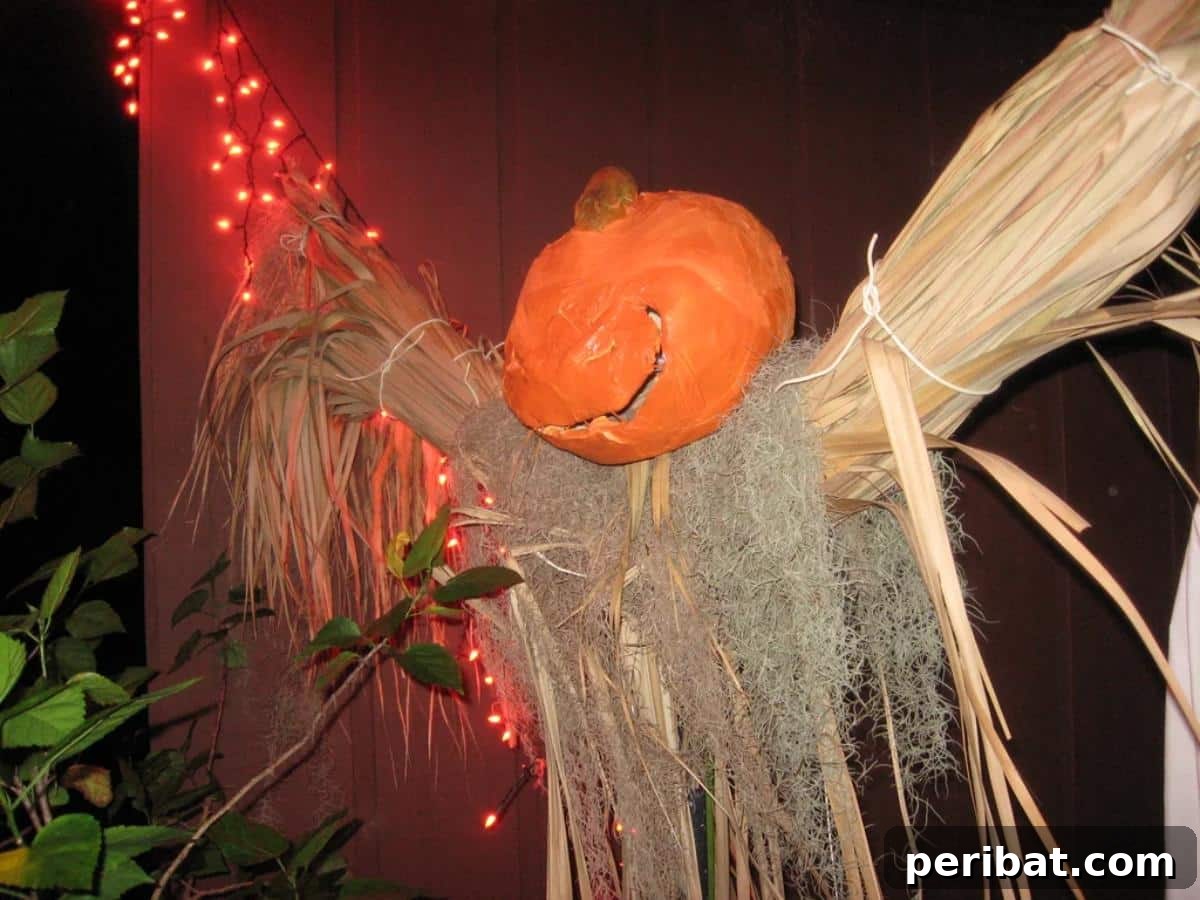 Whimsical Scarecrow Pumpkin Creations 5 Pumpkin Scarecrow
