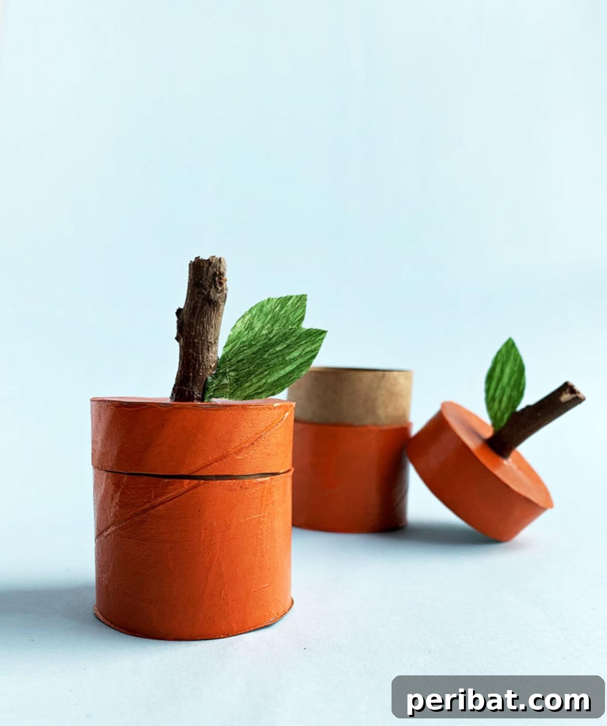 Toilet Paper Roll Pumpkin Boxes, designed to hold small treats.