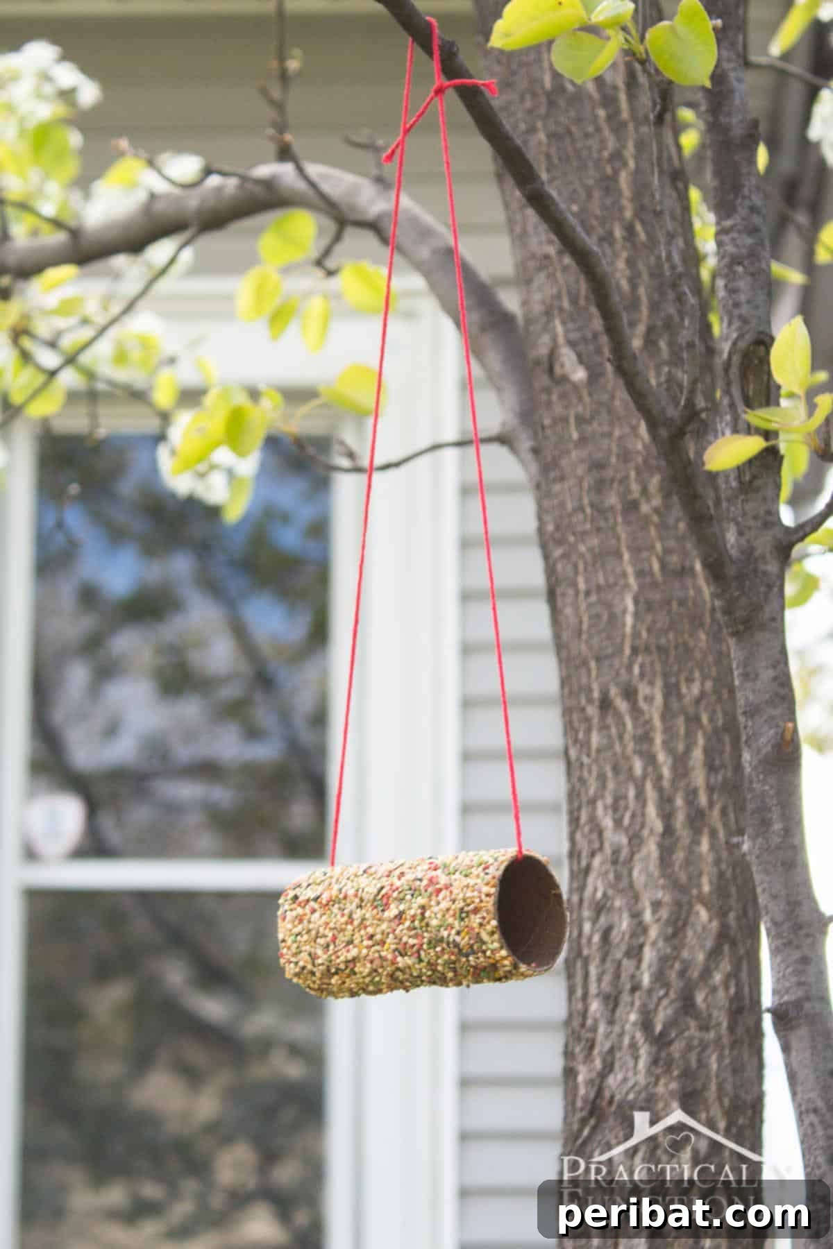 DIY Toilet Paper Roll Bird Feeder covered in birdseed.