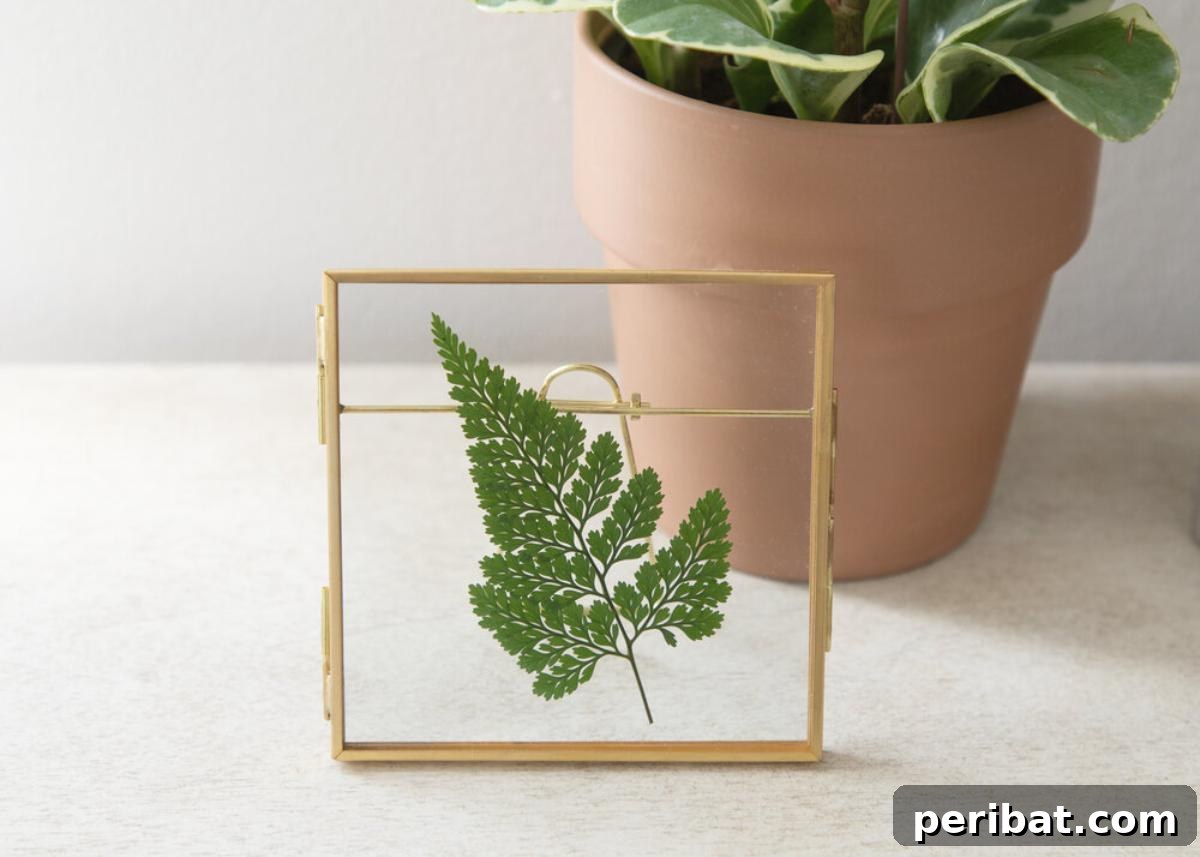 Elegant natural decor featuring DIY pressed leaf art, with vibrant autumn leaves beautifully arranged and framed, preserving their beauty as lasting wall art.