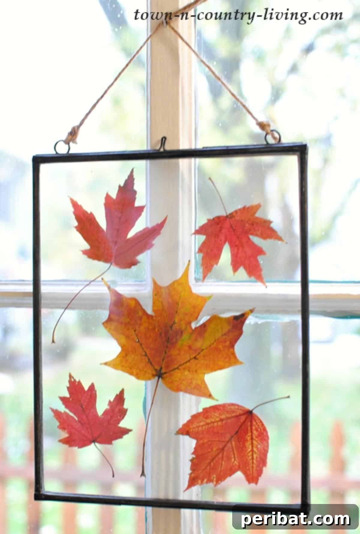 Stunning pressed fall leaf window art, showcasing the vibrant array of autumn colors with leaves carefully arranged in clear frames, transforming a window into a natural, light-filtering display.
