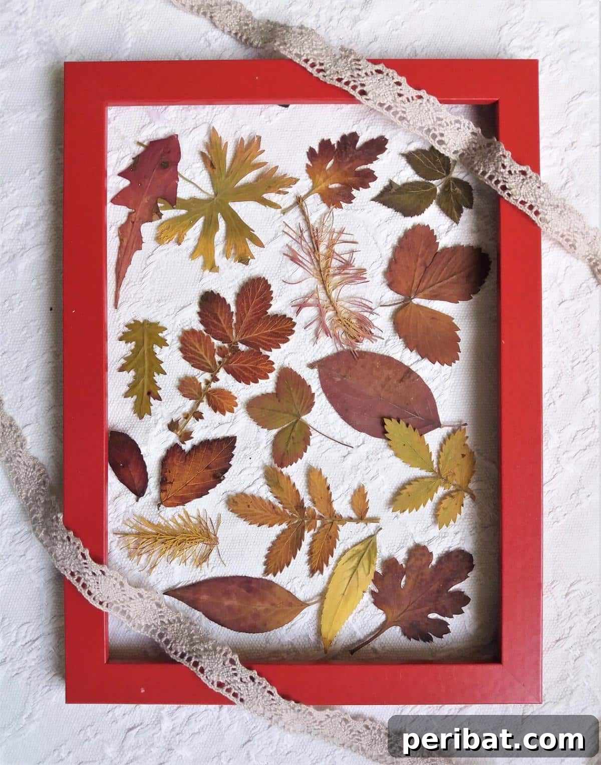 A vibrant collection of real, colorful preserved fall leaves, perfect for various crafting projects and creating authentic seasonal decor that lasts.
