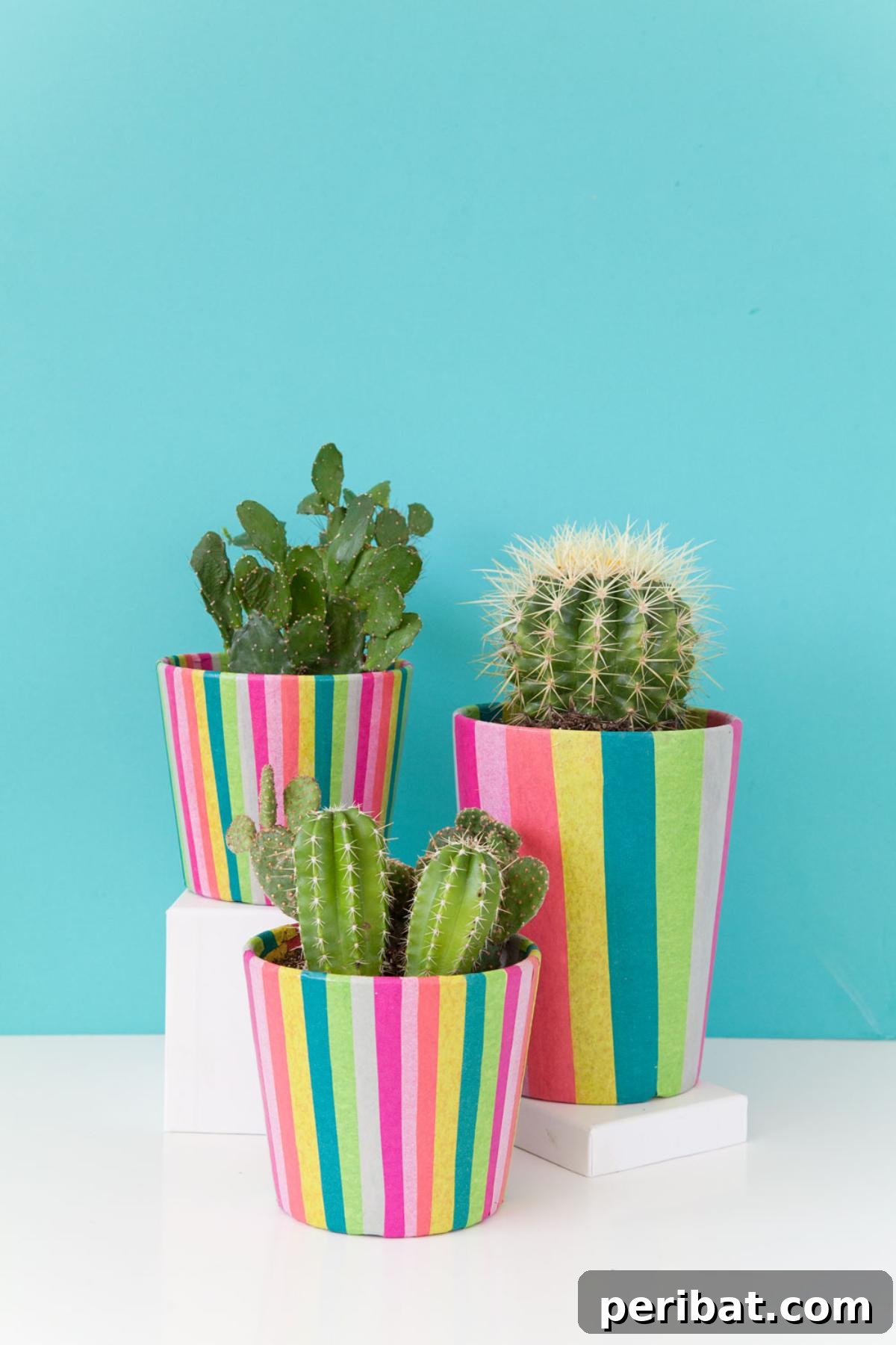 Vibrant Tissue Paper Crafts: 40 DIY Ideas 37 DIY Tissue Paper Covered Pots. A collection of plant pots beautifully decorated with colorful tissue paper, transforming ordinary planters into vibrant, artistic pieces for indoor or outdoor gardens.