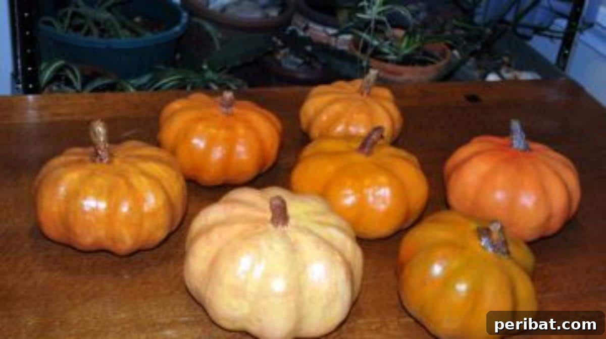 33 Creative Paper Mache Pumpkin Ideas 14 Small to medium-sized pumpkins made with paper mache clay, perfect for versatile tabletop displays.