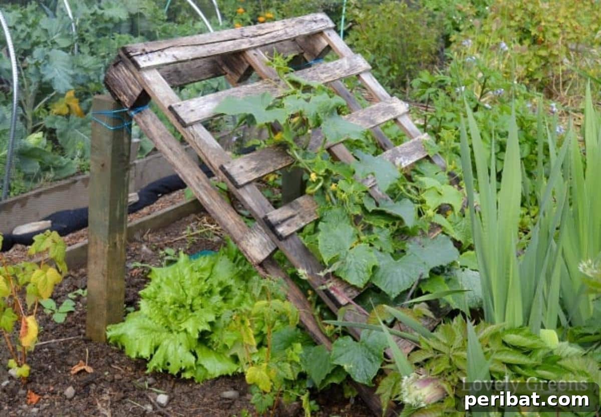 From Pallets to Paradise 40 Garden Furniture and Decor DIYs 28 DIY Pallet Cucumber Trellis