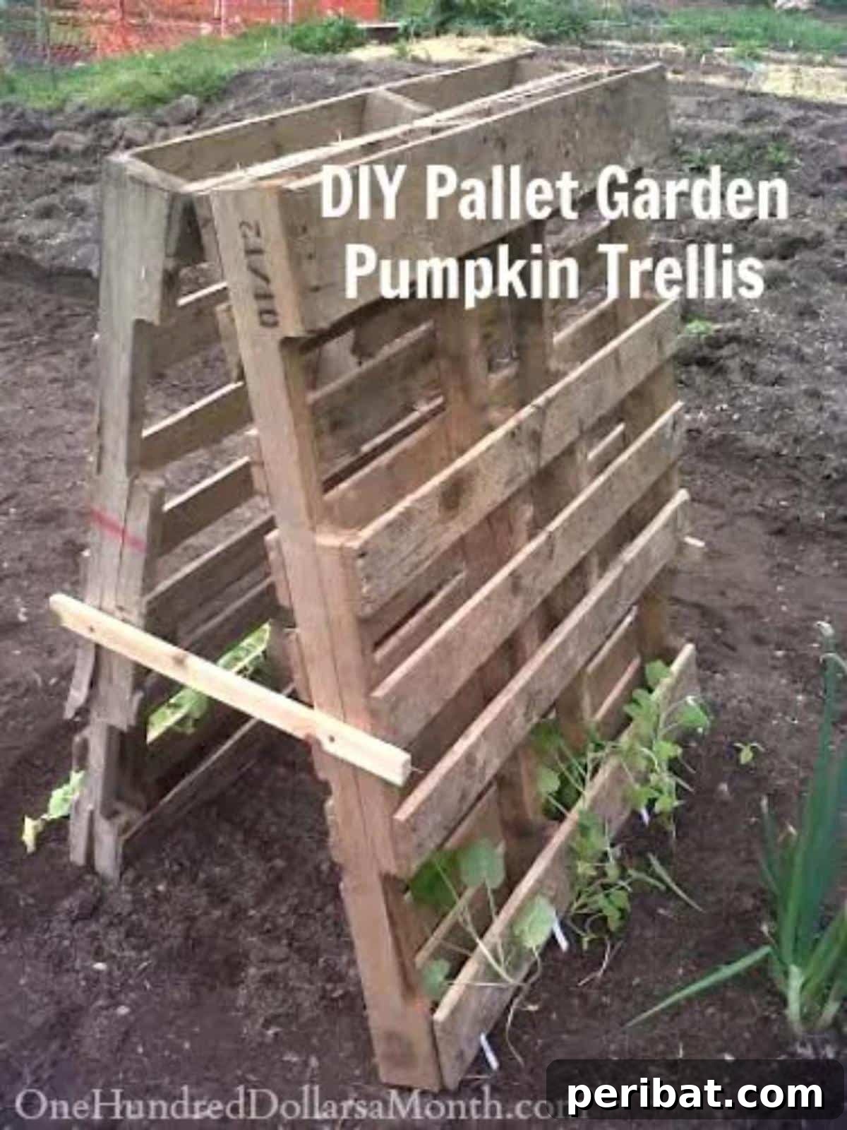 From Pallets to Paradise 40 Garden Furniture and Decor DIYs 36 Pallet Garden Pumpkin Trellis