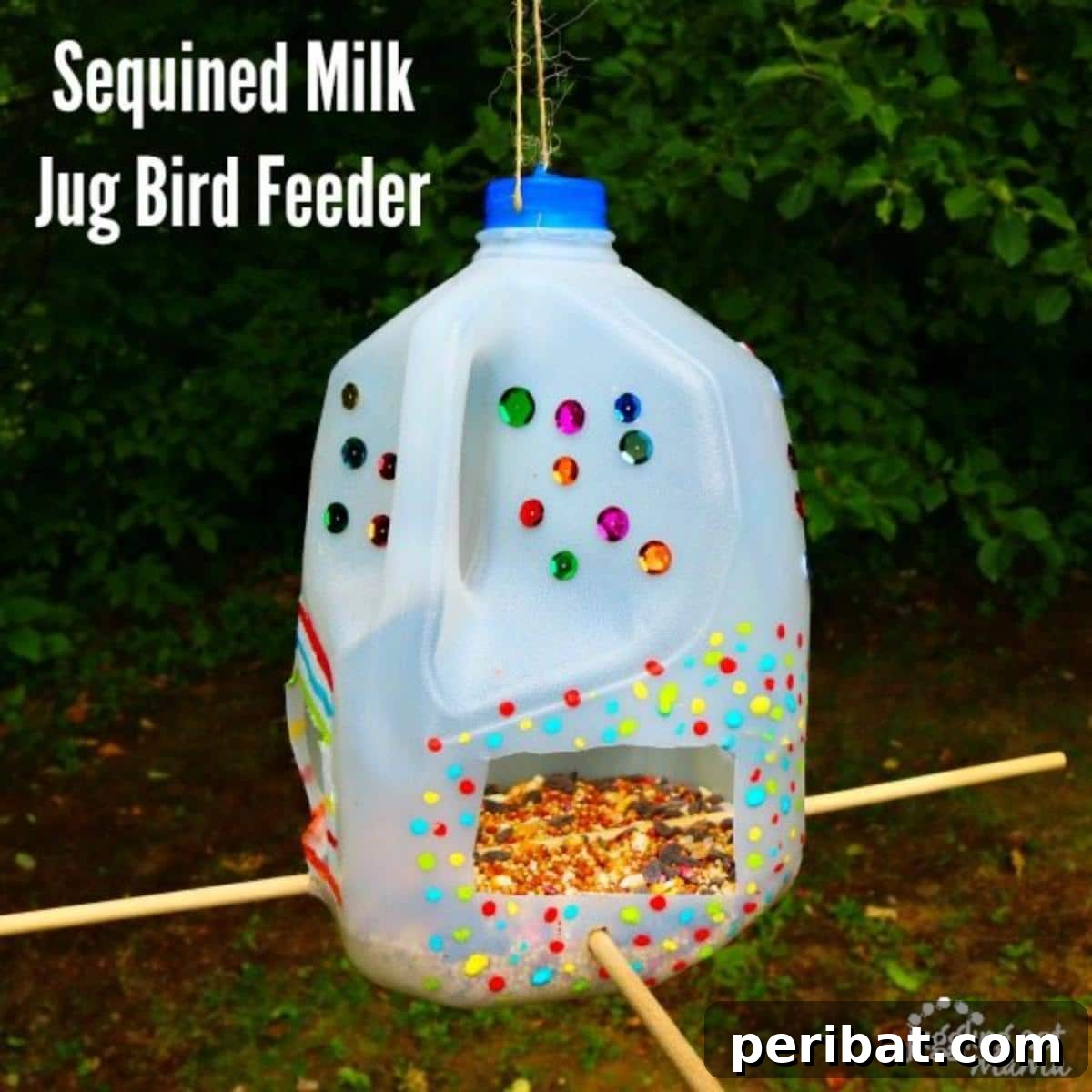 Milk Jug Bird Feeder