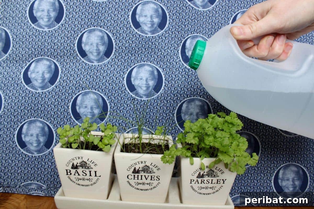 Easy DIY Garden Waterer