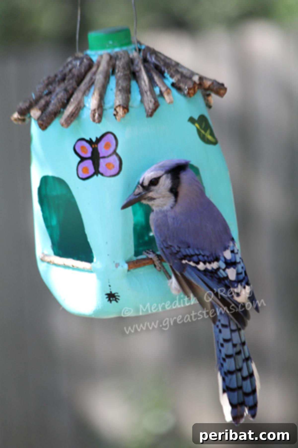 Milk Jug Birds Feeder