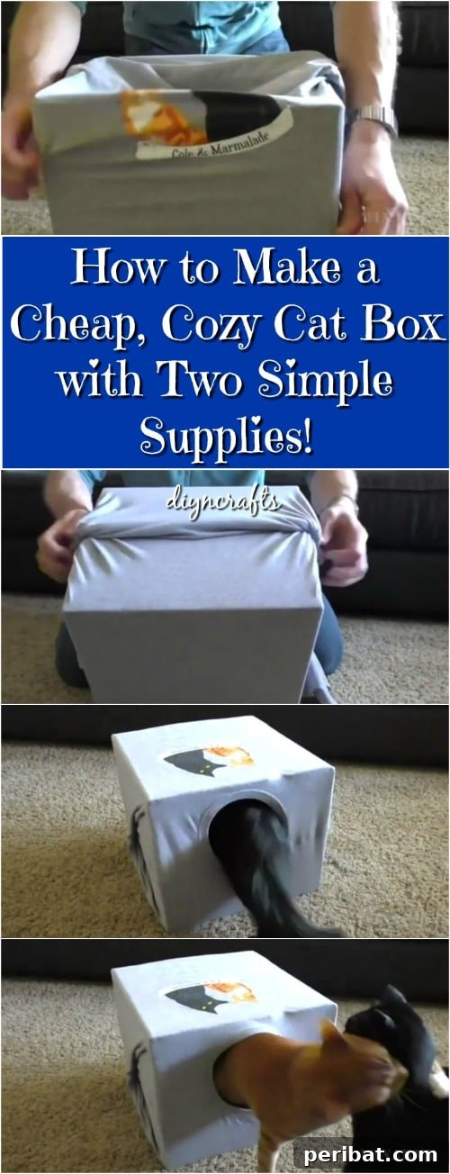 Simple Two-Supply Cat Bed for Ultimate Coziness 2 DIY Cozy Cat Bed: Transform a Cardboard Box and T-Shirt into a Feline Haven
