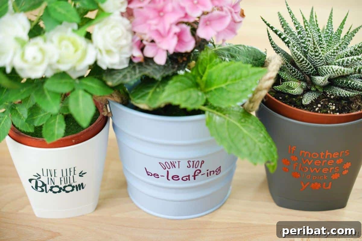 40 Creative Flower Pot Projects 16 Three beautifully customized DIY Cricut vinyl inspirational flower pots, each with a unique design and uplifting message.