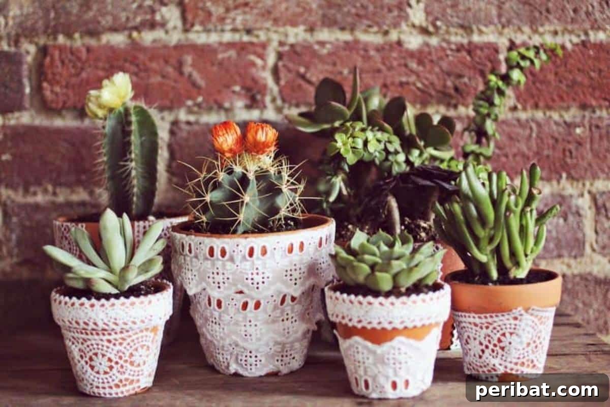 40 Creative Flower Pot Projects 23 Elegant lace-adorned flower pots, blending simplicity and vintage charm for beautiful plant displays.