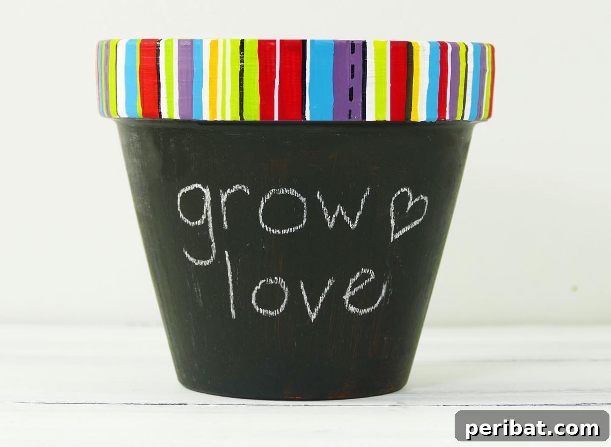 40 Creative Flower Pot Projects 30 A creative DIY chalkboard flower pot, allowing for customizable messages and plant labels.