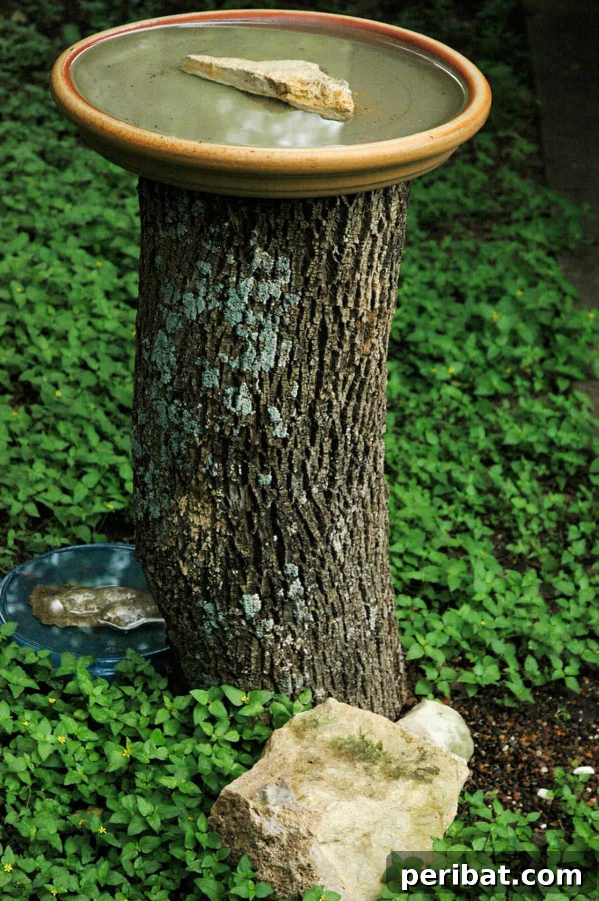 Stump to Splendor Ingenious Garden Planters and Ornaments 11 DIY bird bath created using a ceramic bowl on an old tree stump