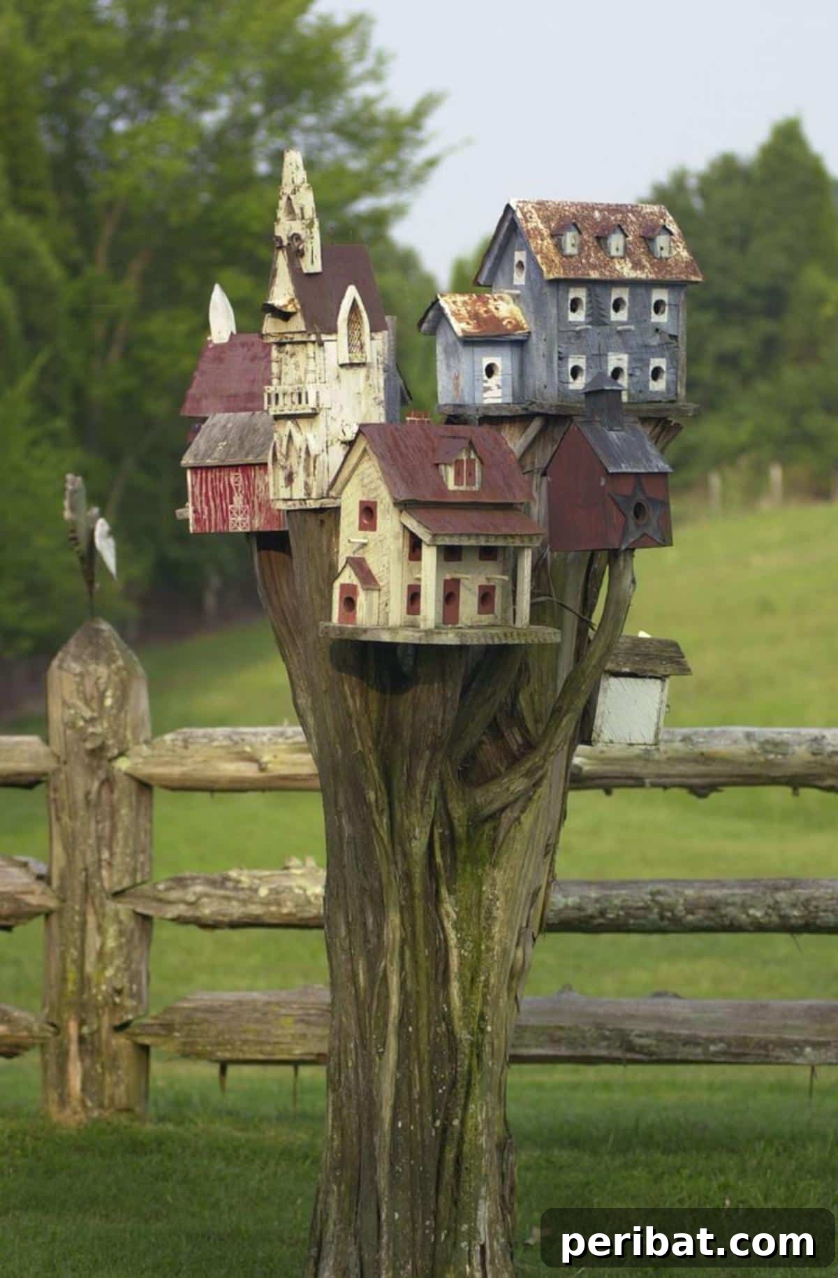 Stump to Splendor Ingenious Garden Planters and Ornaments 13 Creative birdhouse village constructed on a multi-branched tree stump