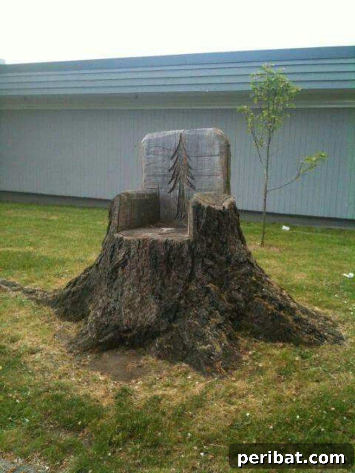 Stump to Splendor Ingenious Garden Planters and Ornaments 15 Majestic tree stump carved into a functional and artistic garden chair