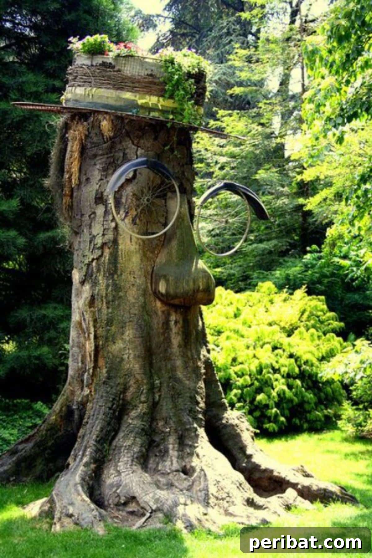Stump to Splendor Ingenious Garden Planters and Ornaments 6 Unique tree stump carving featuring a face, bicycle wheel spectacles, and flowers