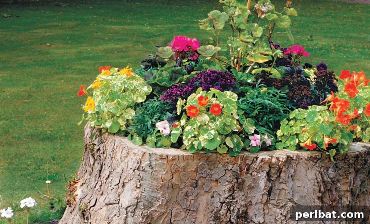 Stump to Splendor Ingenious Garden Planters and Ornaments 7 Simple yet colorful tree stump planter with varied blossoms