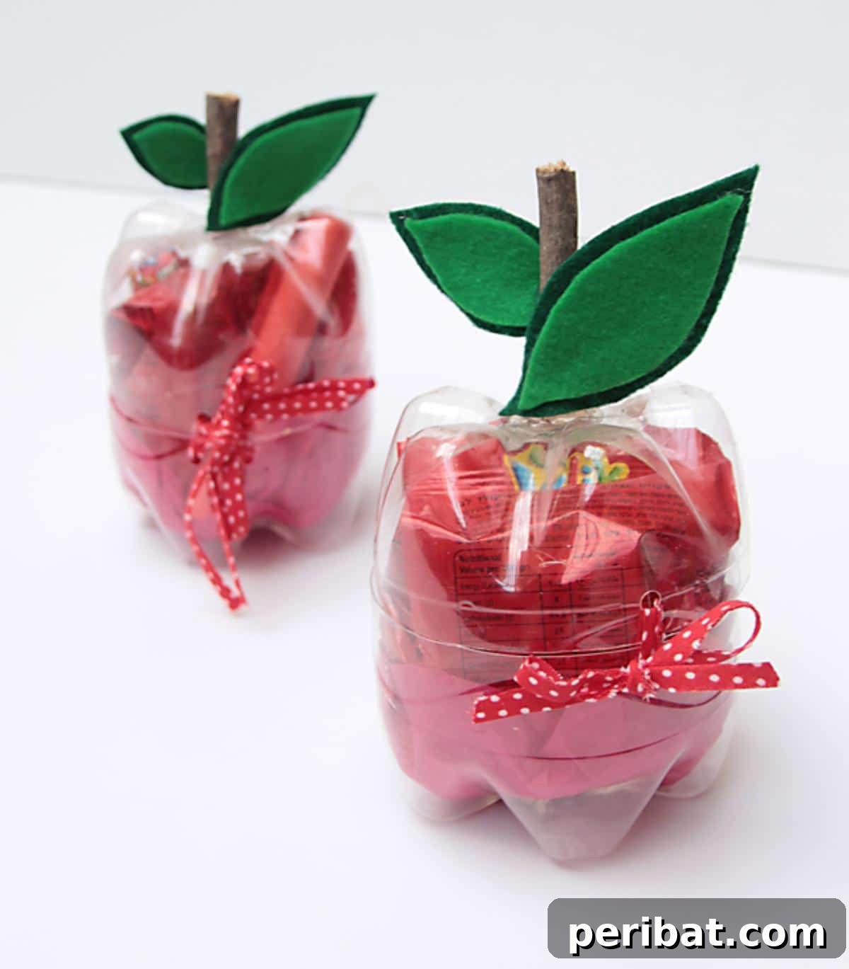 Plastic Bottle Apple For Teachers