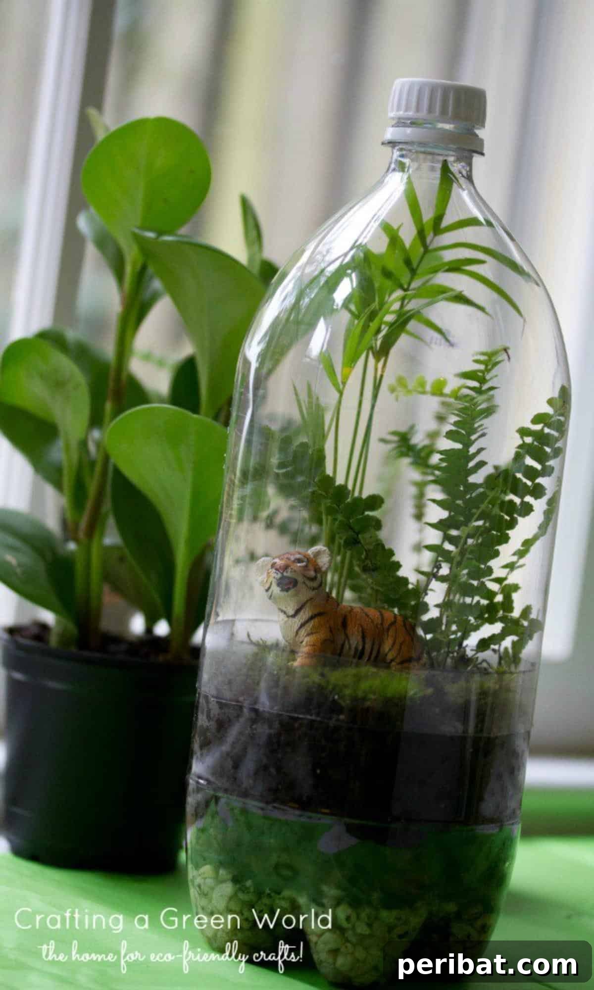 Plastic Bottle Terrariums