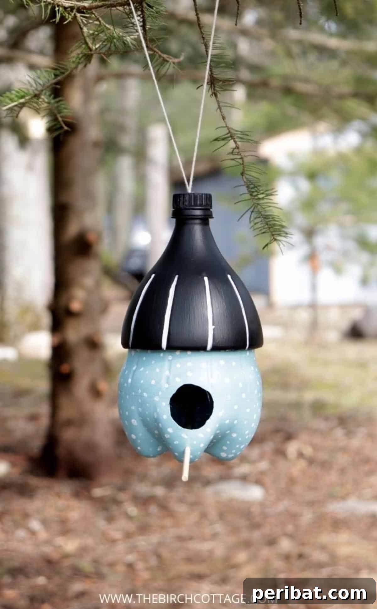 Plastic Water Bottle Bird Feeder