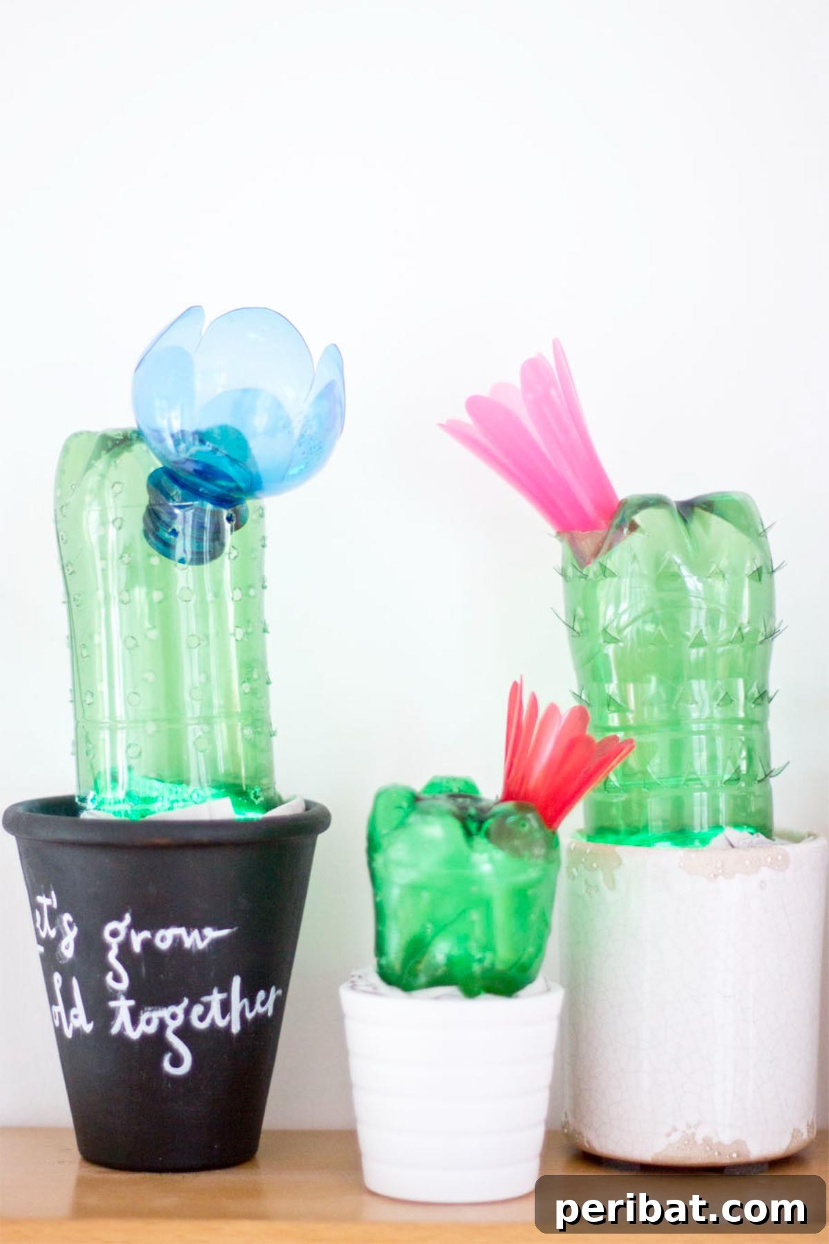 Plastic Bottle Cacti Lights