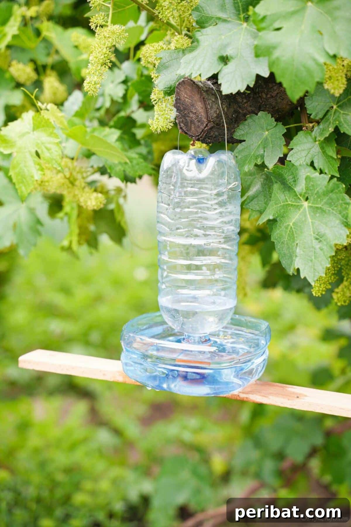 Upcycled Plastic Bottle Bird Water Feeder