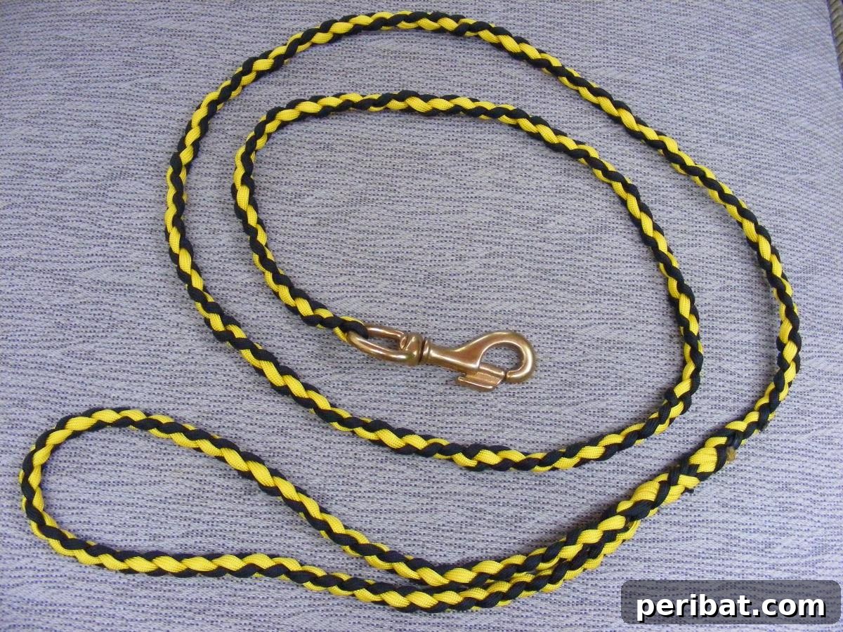 Crafting with Paracord: DIY Ideas and Projects 13 Durable Paracord Dog Leash in an appealing color combination.