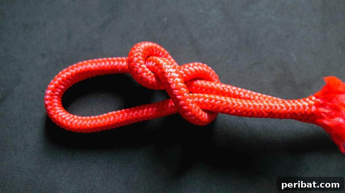 Crafting with Paracord: DIY Ideas and Projects 17 Illustration of a Paracord Knot, emphasizing essential techniques.