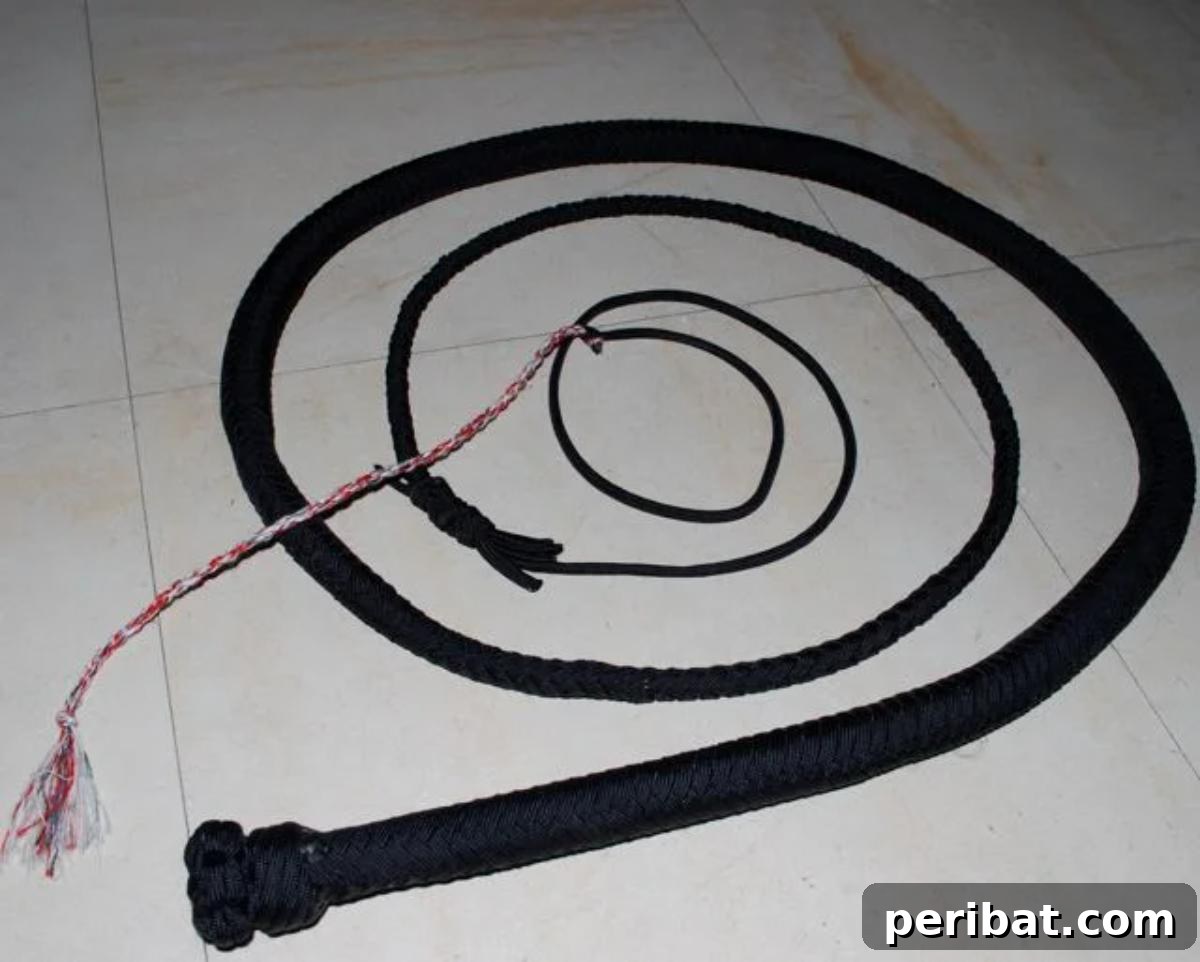 Crafting with Paracord: DIY Ideas and Projects 29 Impressive Paracord Bullwhip, a challenging but rewarding craft.