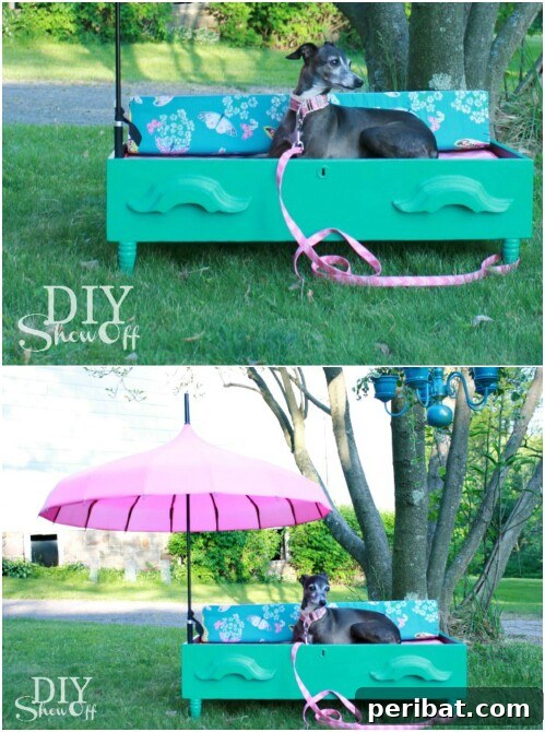 15 Unexpected Uses for Your Old Drawers 11 Comfortable dog bed made from a repurposed dresser drawer, with a soft cushion