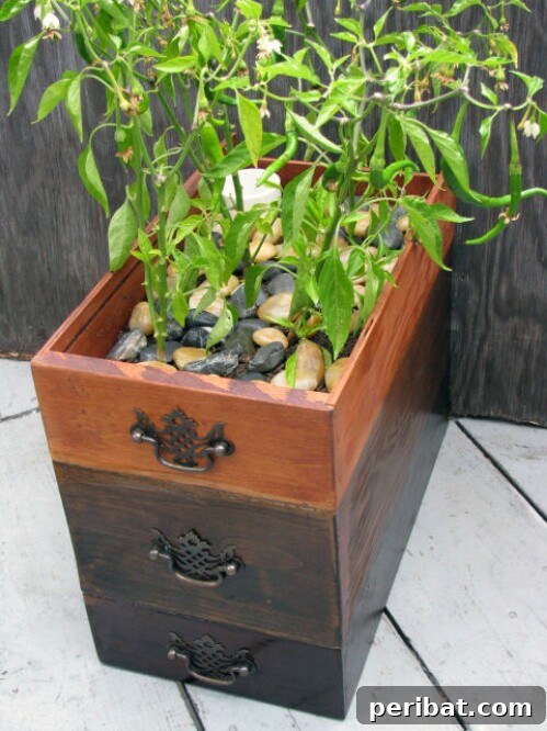 15 Unexpected Uses for Your Old Drawers 14 Self-watering planter made from stacked repurposed drawers, holding vibrant plants