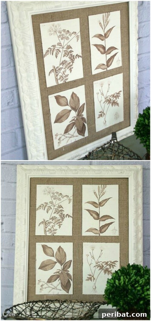 Framed Botanical Art
