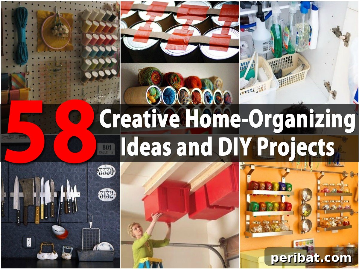 Organized home interior with various DIY storage solutions and green plants