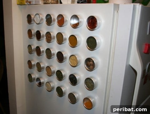 Magnetic spice jars attached to the side of a refrigerator