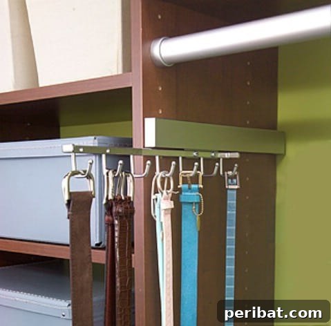 Sliding closet rack with belts neatly hung for easy access