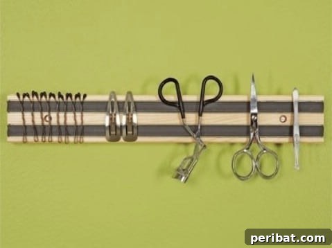 Magnetic rack holding small hygiene tools like nail files and tweezers