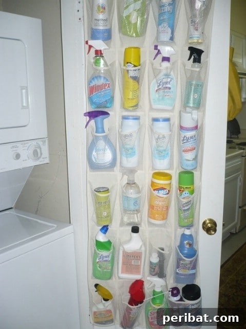 Over-the-door shoe organizer repurposed for cleaning supplies and spray bottles